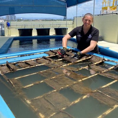 Researcher checking samples of bioplastics at Seaworld on the Gold Coast. Image, UQ 